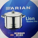  4.5 .ARIAN LION
