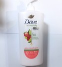 DOVE / / 610